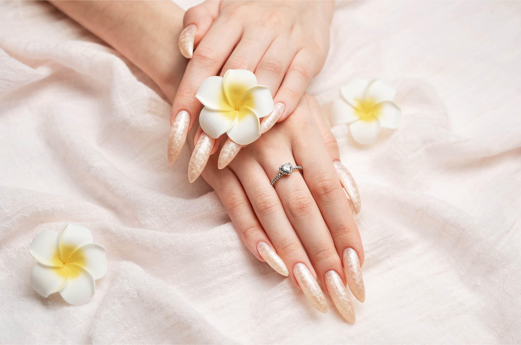 vecteezy_hand-of-a-young-woman-with-white-pearl-manicure_39385018